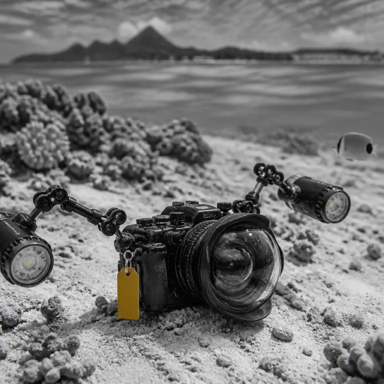 Underwater Photography in Bora Bora: Gear, Settings, and the Best Dive Sites for Shooters